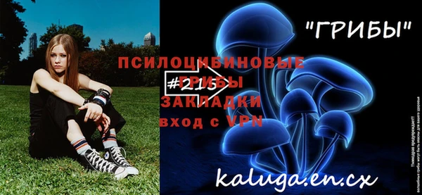 дмт Абинск